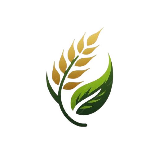 Rice of India