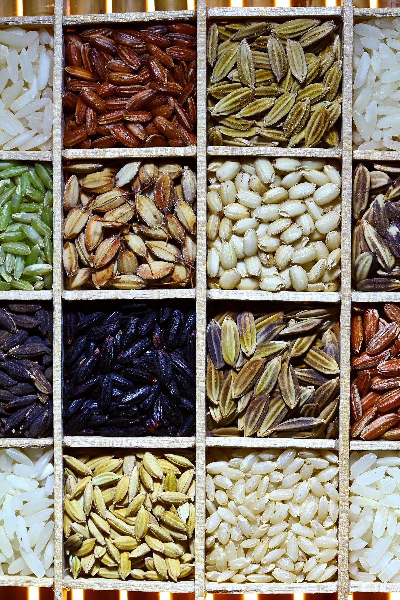 Bowls of assorted milled rice showing grain length and colour