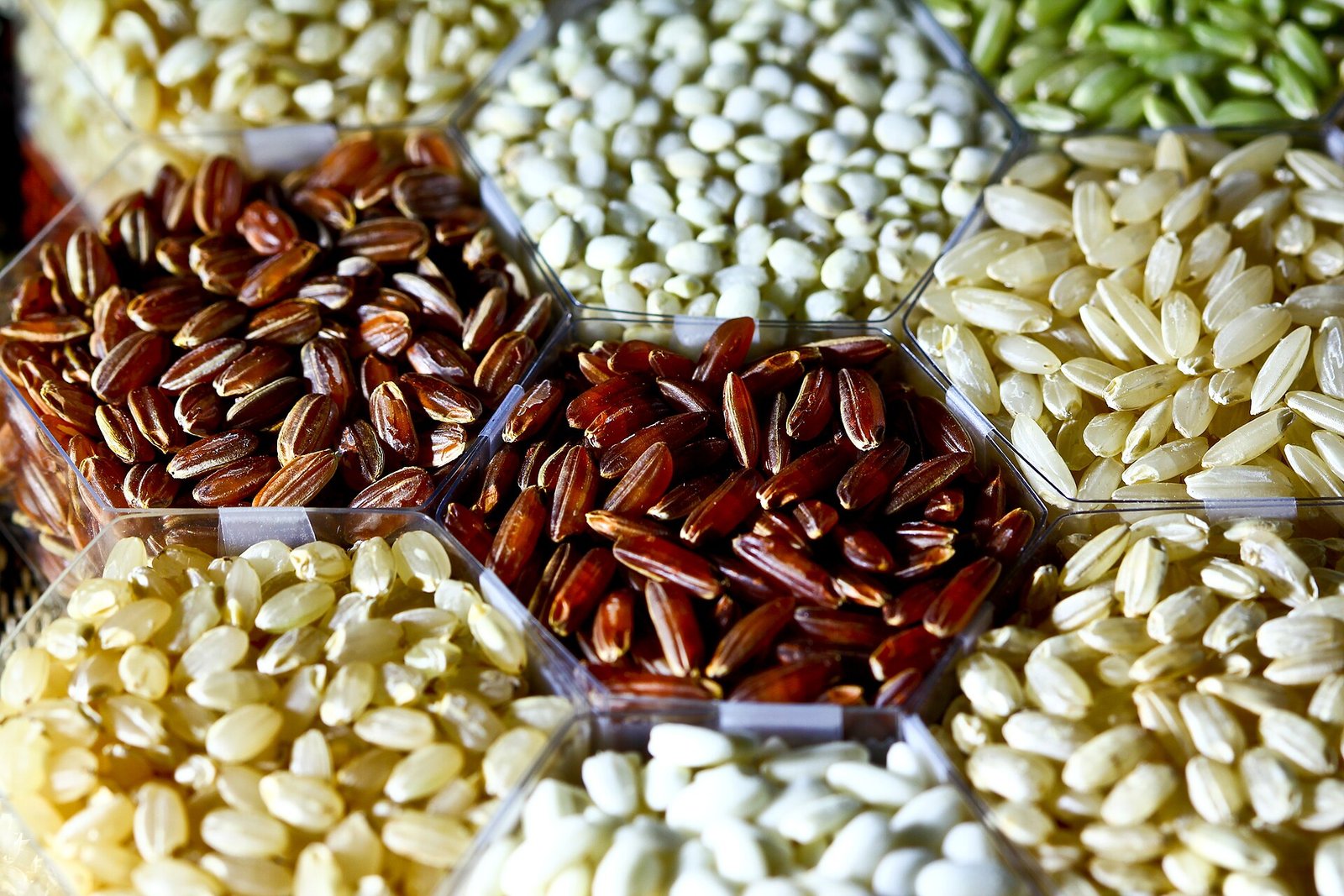 Graded rice grain samples of several varieties arranged in trays